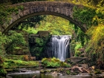 Jesmond Dean Waterfall Framed by old Bridge