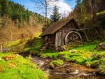 Old mill in Germany