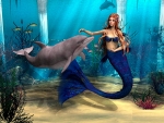Mermaid and Dolphin