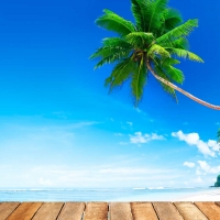 Beach Wallpaper with natural color shades