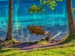 Swing over the lake