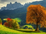Dolomites