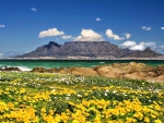 Table Mountain