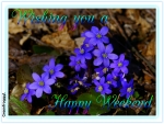 HAPPY WEEKEND