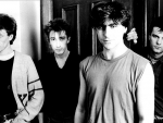 The Chameleons