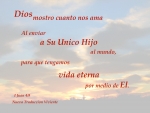 Dios Mostro Su Amor a Nosotros