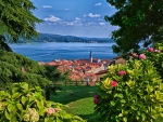 Lake Maggiore