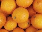 Oranges