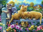 Kittens On A Fence