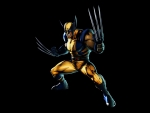 Wolverine