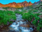 Colorado Mountains in Summer