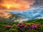 Blue Ridge Parkway in Spring, Appalachian Mountains
