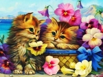 Sweet little Kittens