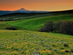 Columbia Hills