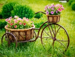 Tricycle with flowers