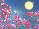 Fairy, Moon and Flowers