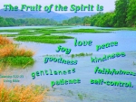 The Fruit of the Spirit