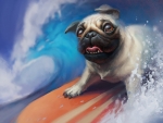 Surfin'Pug