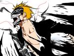 Ichigo Hollowfication