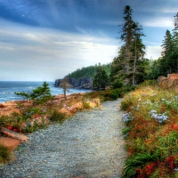 A coastal trail on Mount Desert Island - Acadia NP, Maine
