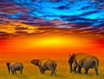 African sunset