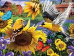 Goldfinches In The Sunflowers