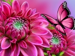 Flower and butterfly
