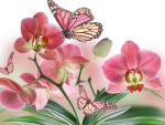 Pink and yellow  butterflies