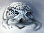 Tiger owl