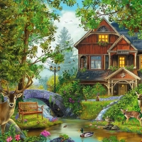 Our Home in the forest