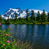 Mount Shuksan and Highwood Lake