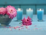 Pink flowers  and candles