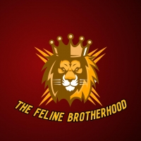 Feline Brotherhood