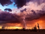 Lighting Strike In the Arizona Desert