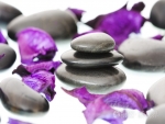 Stones and petals