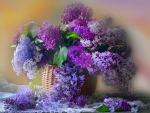 Lilac flowers
