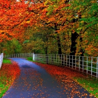 Natural beauty of Autumn