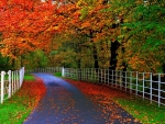 Natural beauty of Autumn
