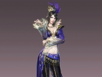 Dynasty Warriors
