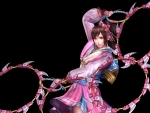 Dynasty Warriors