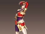 Dynasty Warriors