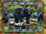 Black Bears