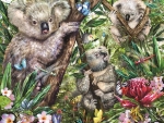 Koalas