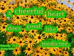Cheerful Heart Like Medicine