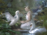 Beauty and the Swans