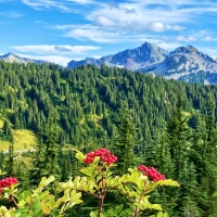 Tatoosh range, Washington