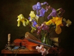 Irises and violin