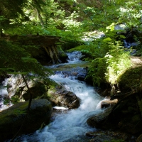 Granite Creek Valley, Washington