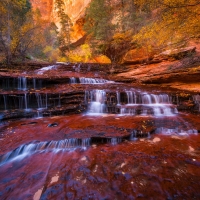 Zion national  park