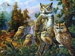 Owl Family